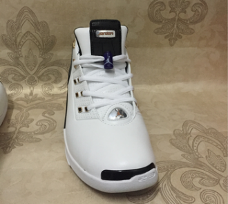 cheap nike air jordan 17 shoes wholesale #19516